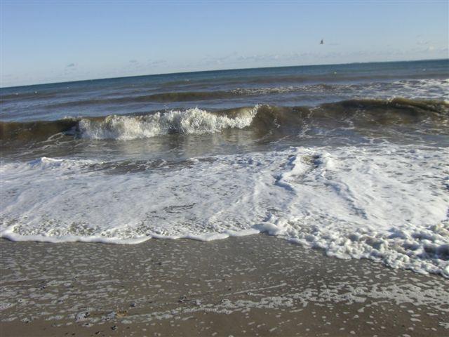 Strand