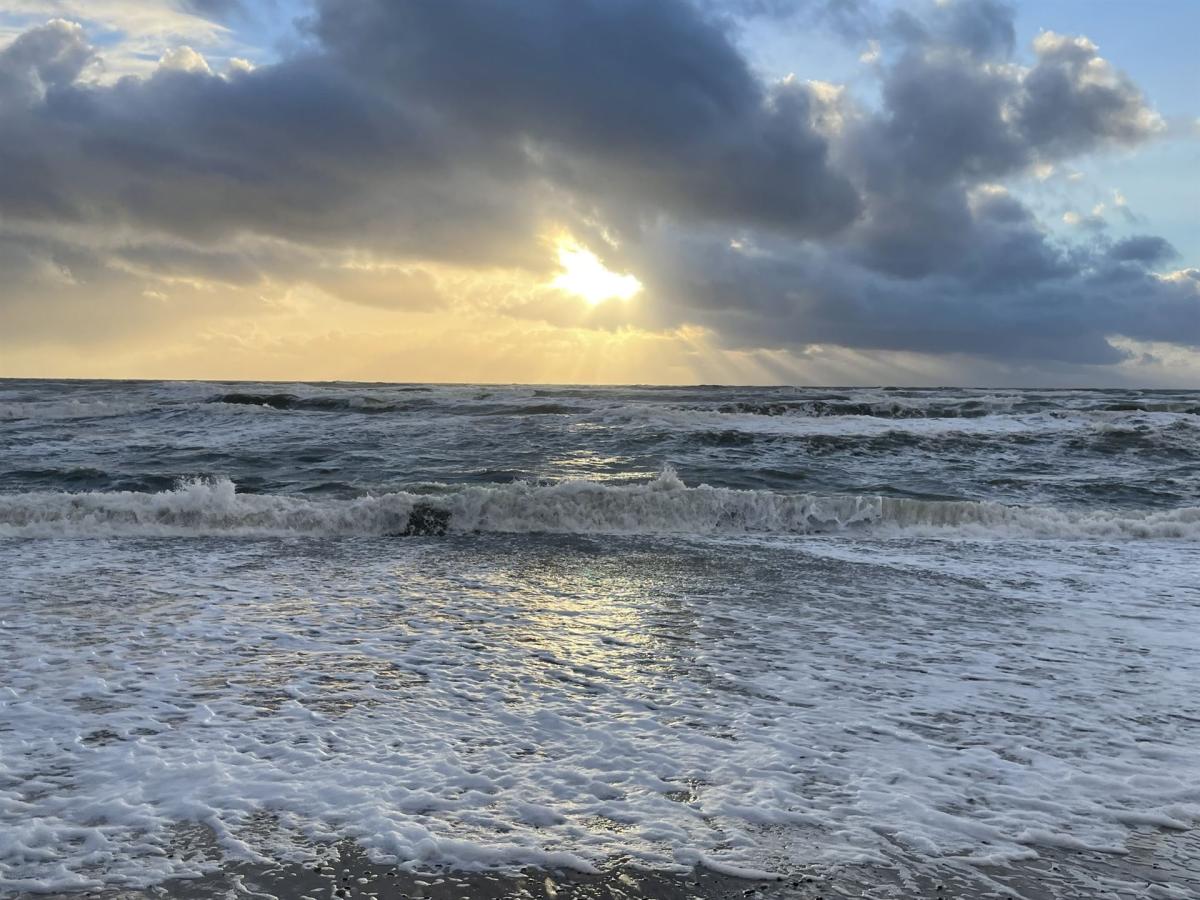 Meer